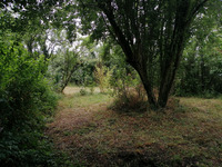 Votre jardin privé